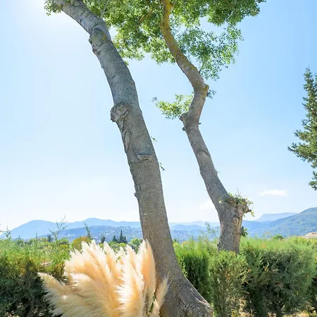 Bikini 아파트 Kariótai