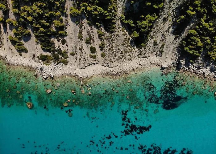 Bikini Daire Kariótai